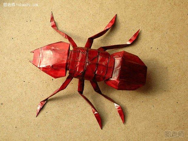 折纸蚂蚁,折纸,昆虫折纸