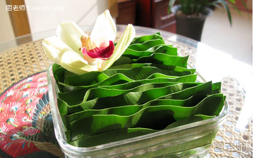 利用山苏叶的特点成局，再点上一朵兰花，使得这次的家庭插花简单且极具创意。