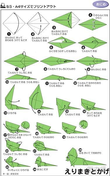 伞蜥蜴的折纸方法