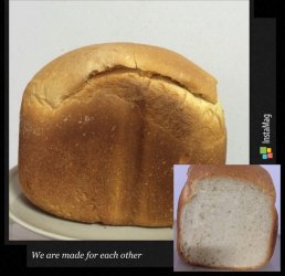 面包机面包(柏翠款)