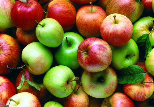 苹果减肥法让你快速瘦身