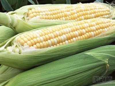 甜玉米是转基因食物吗 转基因玉米可以吃吗