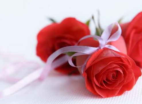 光棍节礼物——玫瑰